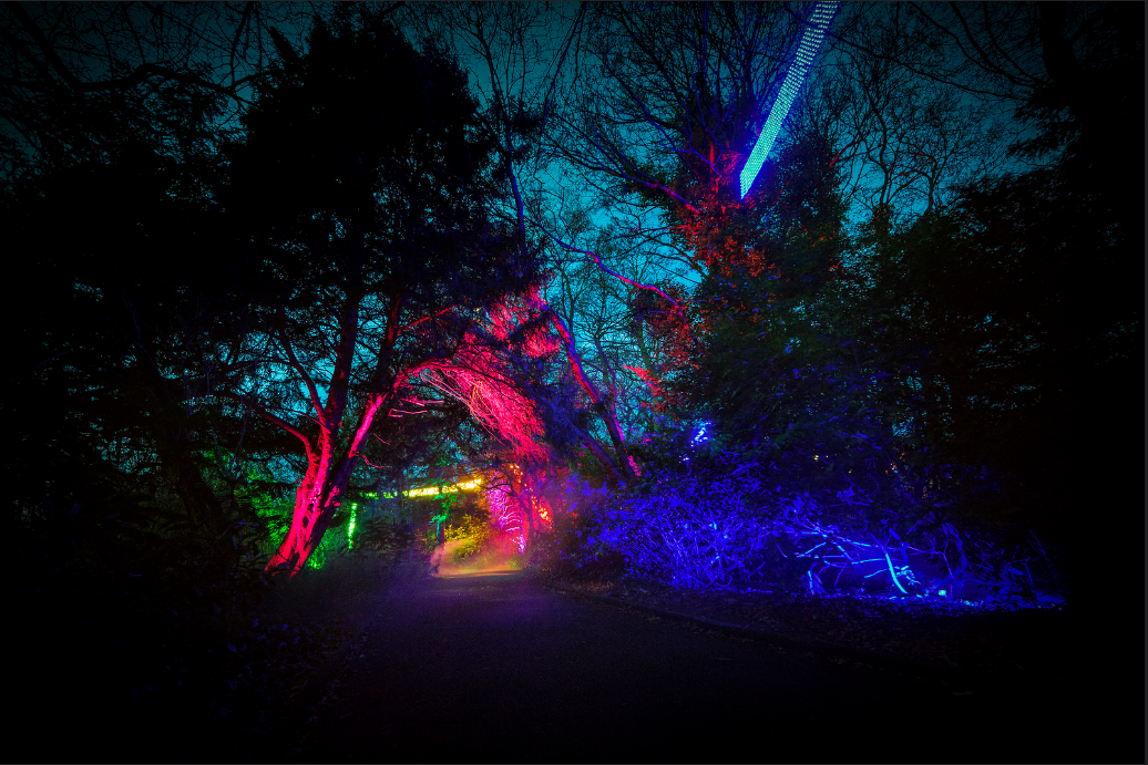 Enchanted Parks  at Saltwell Park – December 2016
