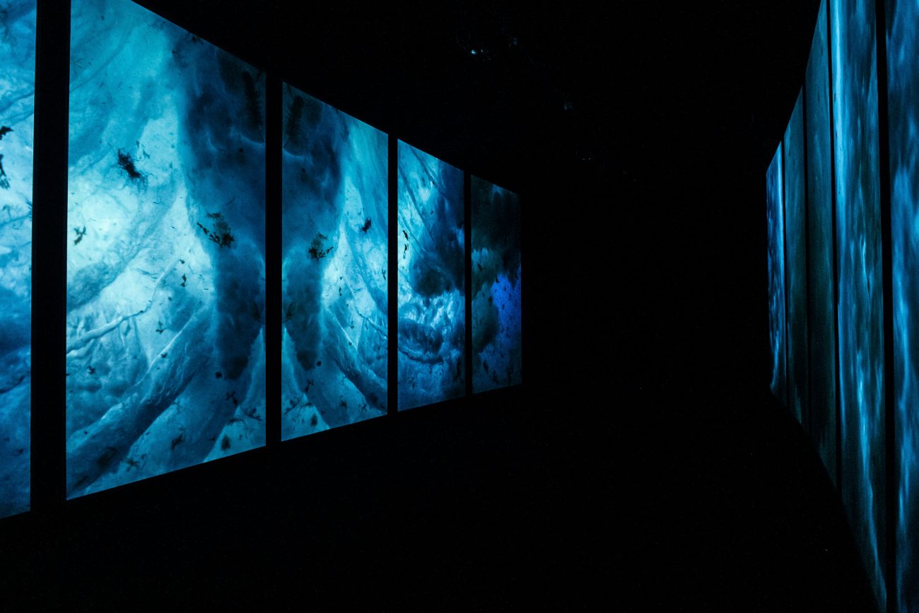 Lisbon Oceanarium 3 - ONE, The Ocean as you never felt it - Lisbon Oceanarium