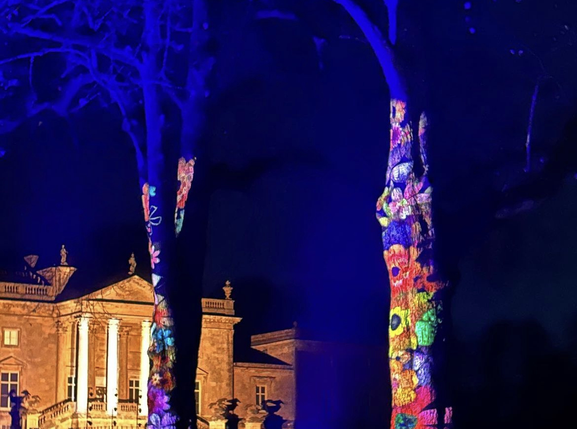 Projected Trees Stourhead