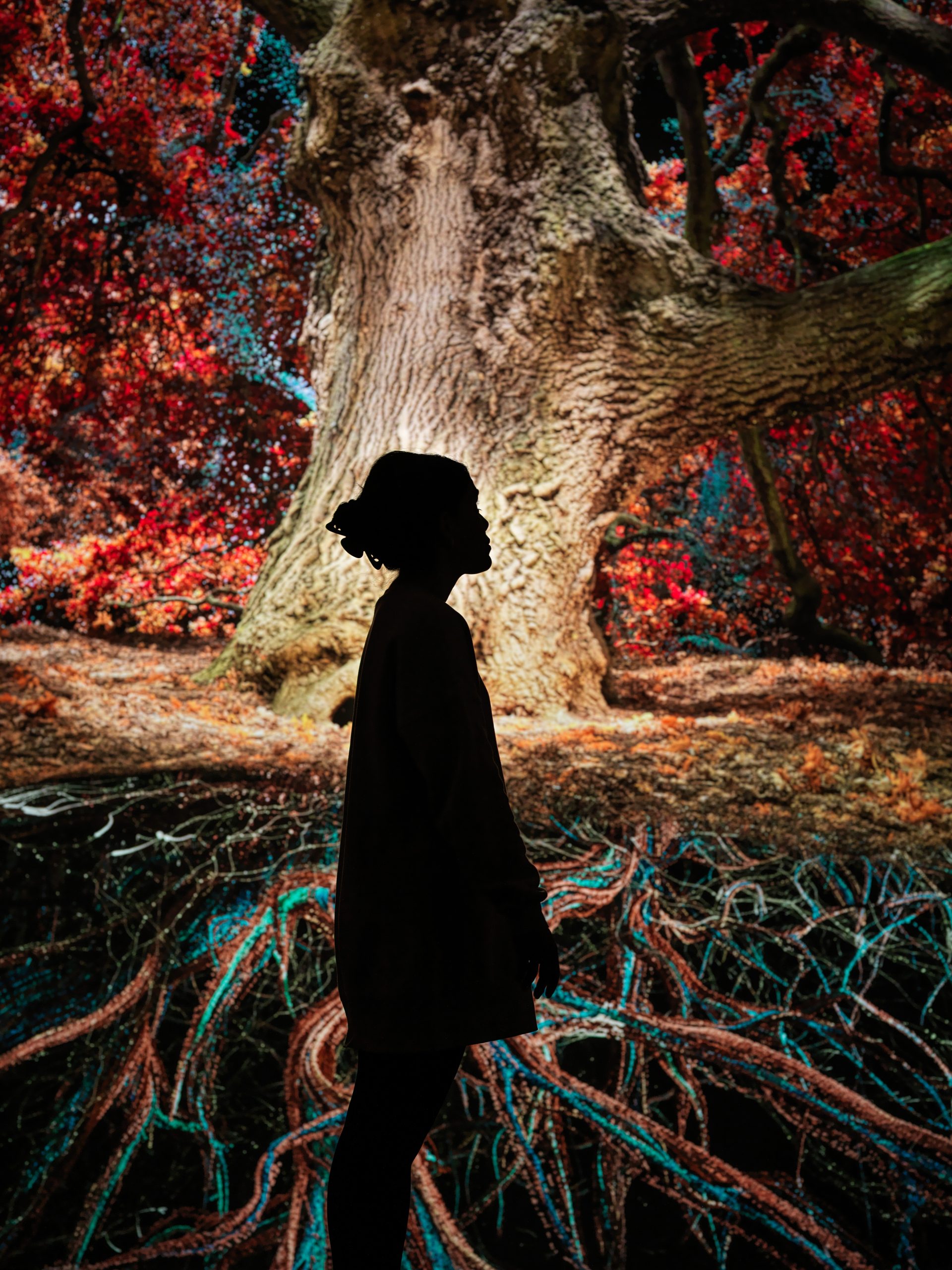 Marshmallow Laser Feast: Of the Oak - Yorkshire Sculpture Park 7 Image